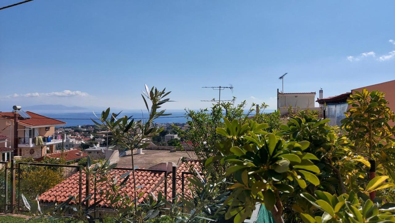 Airport Friendly House 1 Appartement